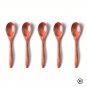 6PCS Wooden Tea Spoon Long Coffee Small Teaspoon Wood Honey Dessert