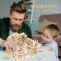 3D Wooden Puzzle Building Kits Mechanical Model Marble Run Set with 4 Balls Creative STEM Toy