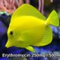 Fish Mycin 250mg / 5oomg Blister Packs