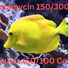 Fish Cin - Clinda 150/300mg Blister Packs ( 50 / 100 Count )