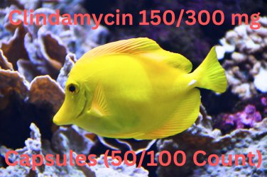 Fish Cin - Clinda 150/300mg Blister Packs ( 50 / 100 Count )
