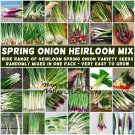 SPRING ONION Heirloom Mix 100+ Seeds vegetable garden ALL TYPES MIXED bunching