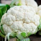 Cauliflower SNOW BALL EARLY 50+  Seeds COOL SEASON EASY AUD seller