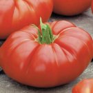 TOMATO BEEFSTEAK 15+ seeds AUD seller
