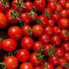 TOMATO Pineapple 15+ Seeds summer AUD seller