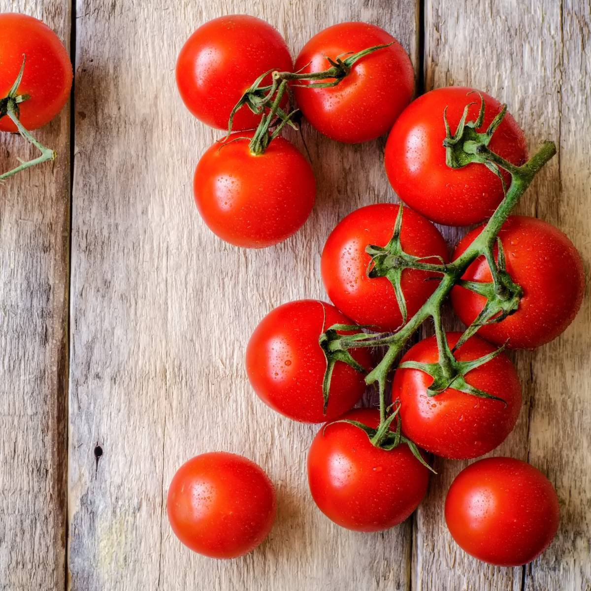 TROPIC TOMATO 15 Seeds summer AUD seller