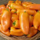 Pepper Habanero Yellow, Orange & Red Vegetable Seed Specialty Seeds