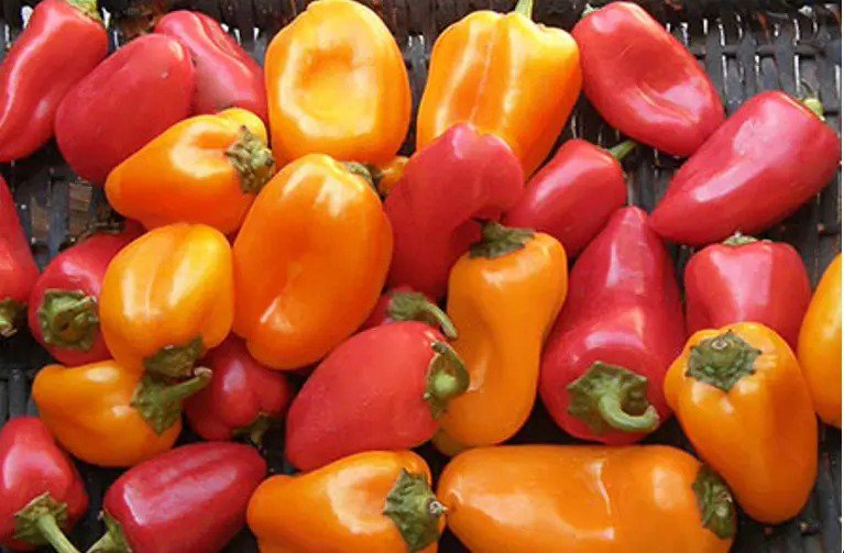 Tomato Granny Smith Vegetable Seeds Nongmo Specialty Seeds