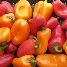 Tomato Granny Smith Vegetable Seeds Nongmo Specialty Seeds
