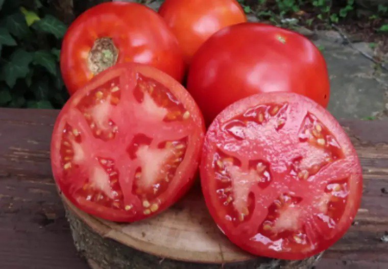 Pepper Italian Sweet Sunset Mix Vegetable Seeds Specialty Seeds