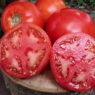 Pepper Italian Sweet Sunset Mix Vegetable Seeds Specialty Seeds