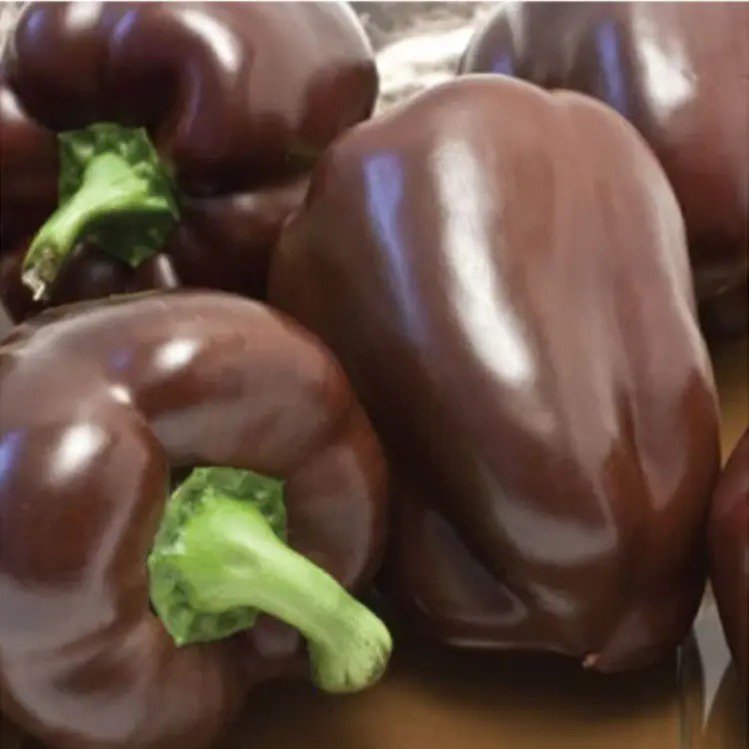 Pepper Carnival Blend Vegetable Seeds
