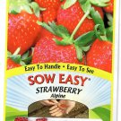 Purple Coneflower Flower Seeds 12/22