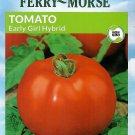 Tomato Jelly Bean Hybrid Vegetable Seeds