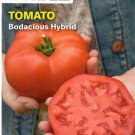 Pepper Garden Leader Monster Bell Vegetable Seeds Ferry Morse