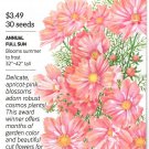 Jicama Heirloom Vegetable Seeds