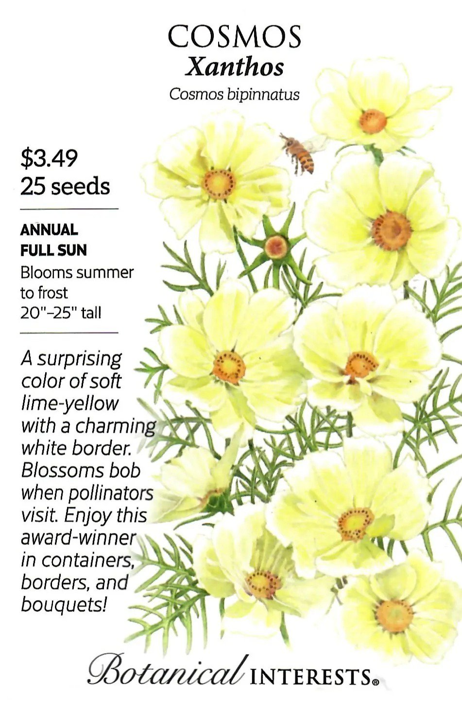 Cosmos Apricotta Flower Seeds