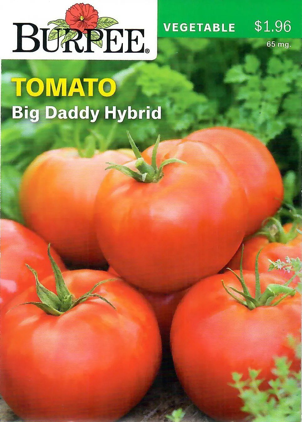 Pepper Purple Beauty Vegetable Seeds