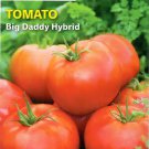 Pepper Purple Beauty Vegetable Seeds
