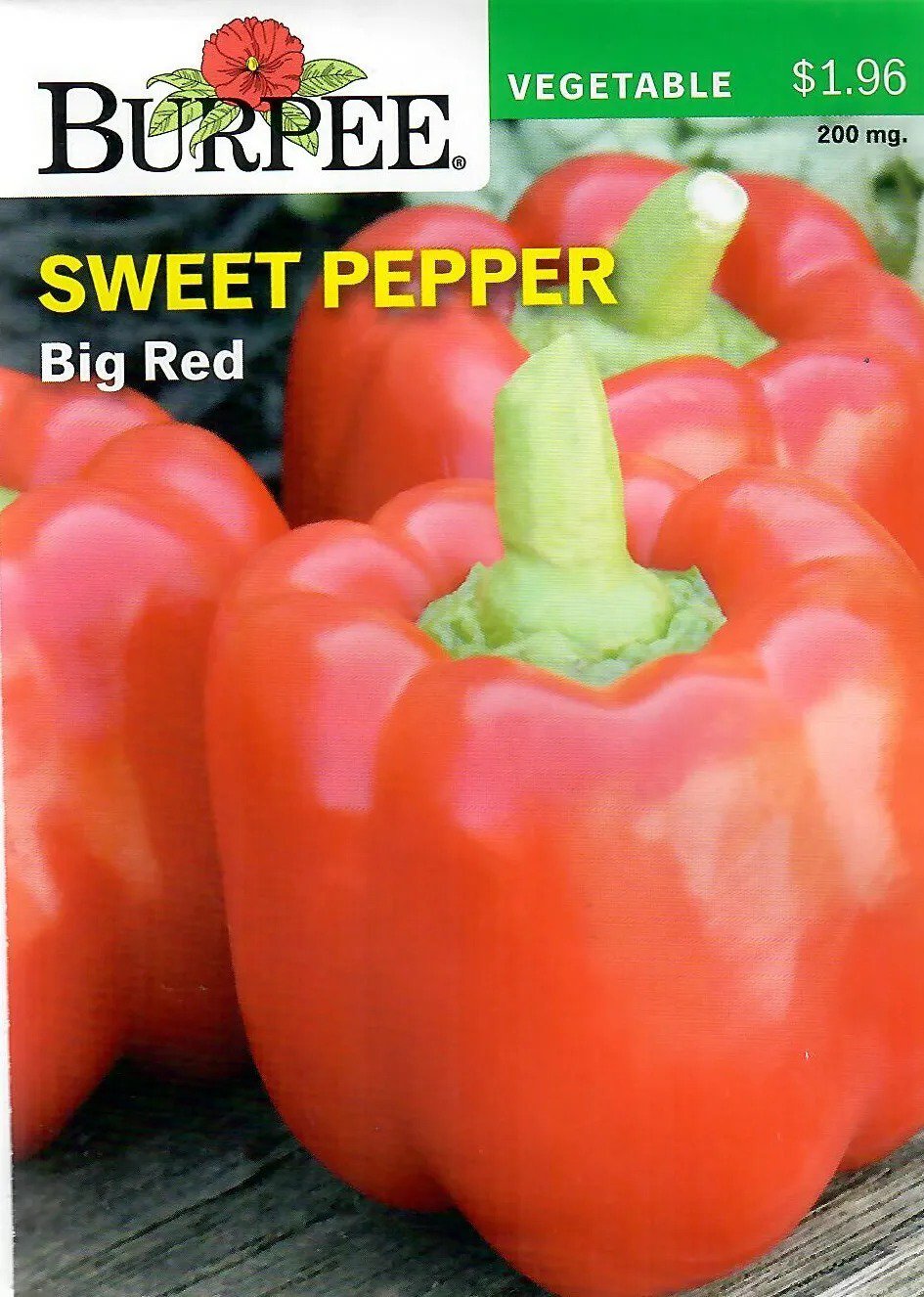 Pepper Pinata Blend Vegetable Seeds