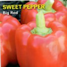 Pepper Pinata Blend Vegetable Seeds