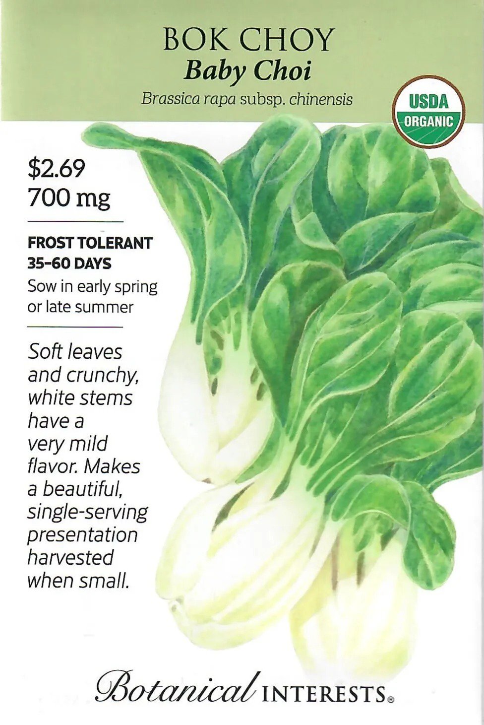 Squash Picnpic Hybrid Vegetable Seeds