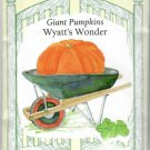 Pepper Baby Snack Yummy Belles Vegetable Seed