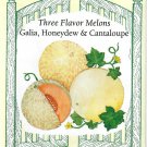 Cantaloupe Mini Sugar Cube Vegetable Seeds