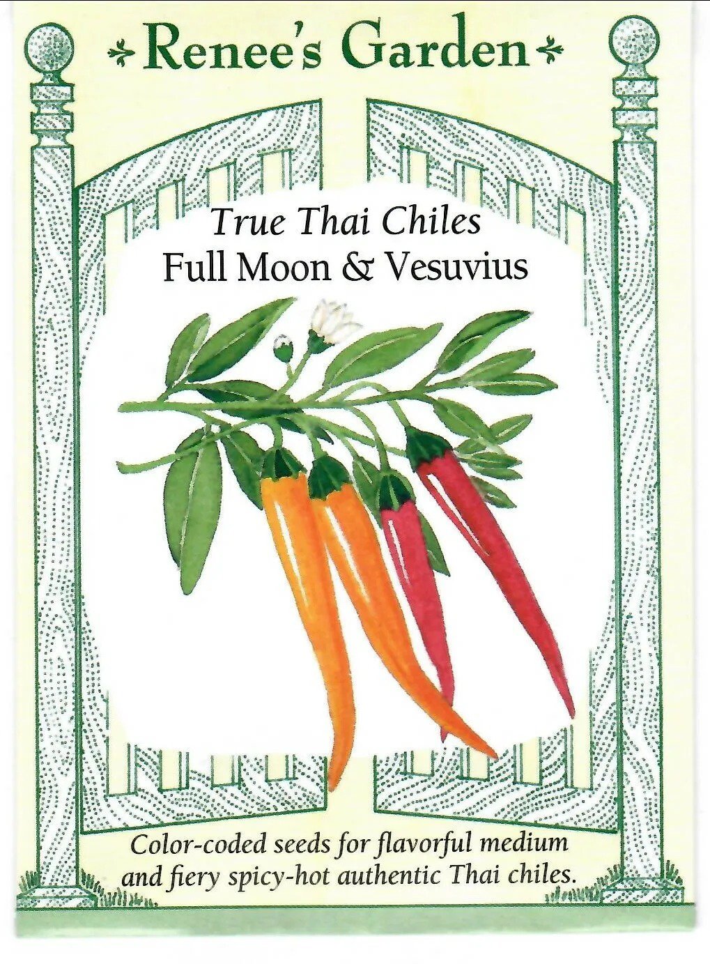Pepper Tibetan Lhasa Vegetable Seed