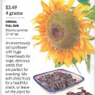 Sunflower Cutting Gold Flower Seeds
