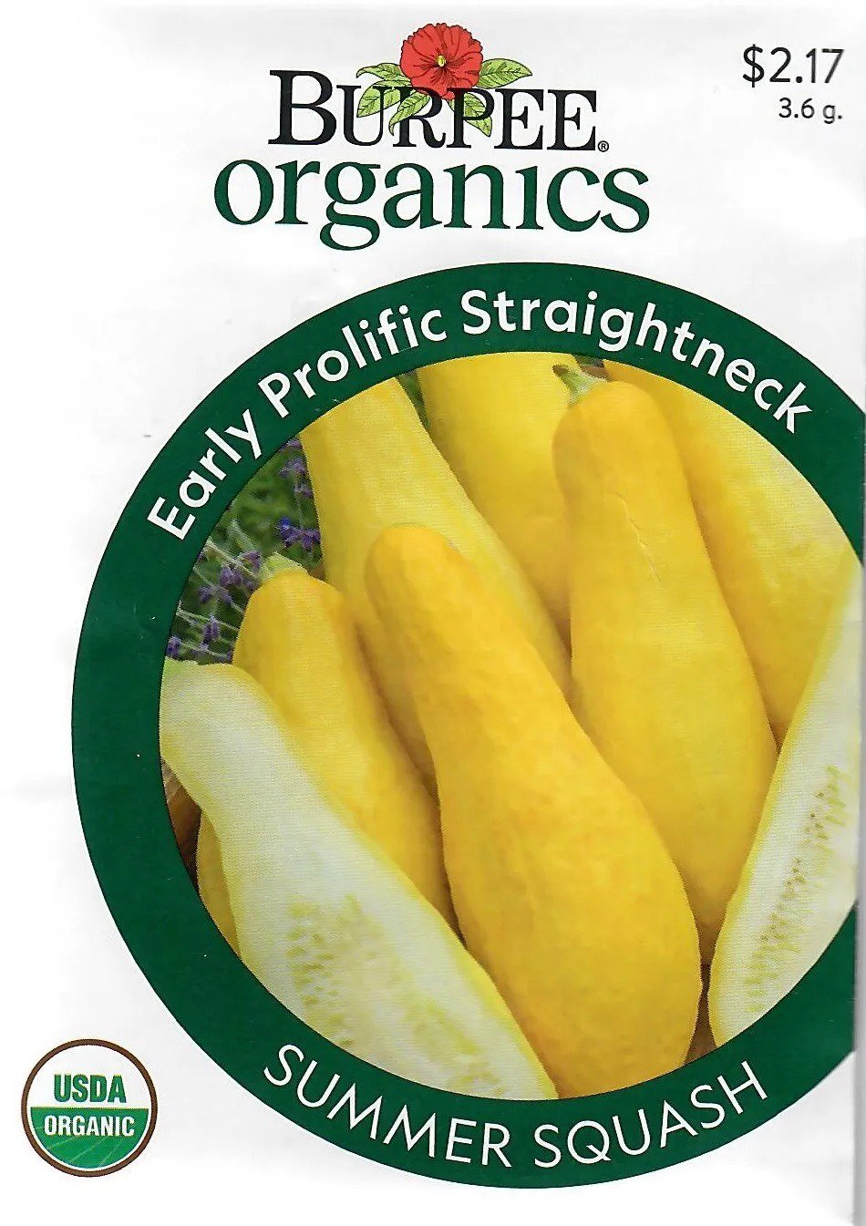 Zucchini Ortolana Di Faenza Heirloom Organic Vegetable Seed
