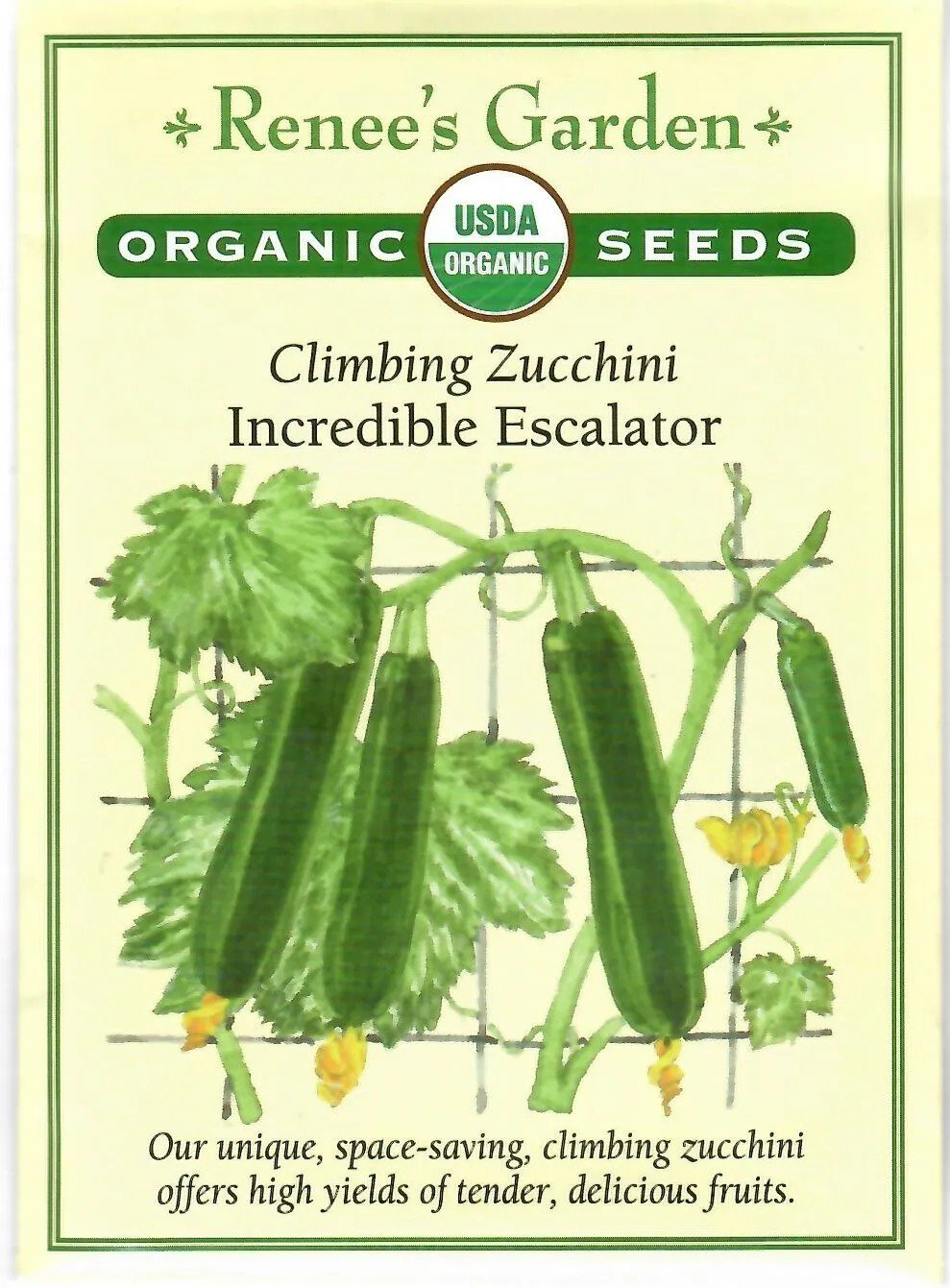 Squash Honey Boat Organic Vegetable Seeds