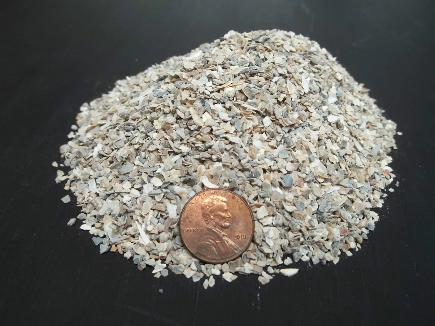 Argyroderma Ringens, Rare Succulent Cactus Seed Stones 50 Seeds