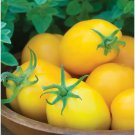 50 Seeds Old Time Tommy Toe Tomato Food Patio Plant