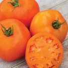 25 Seeds Orange Purple Fire Spinners Flowers