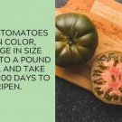 50 Seeds Adoration Tomato Vegetable Tomatoe