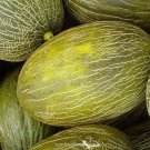 50 Seeds Brandywine Tomato Juicy Vegetable Tomatoes