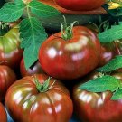 25 Seeds Honeydew Melon Sweet Honey Dew Fresh Green Fruit