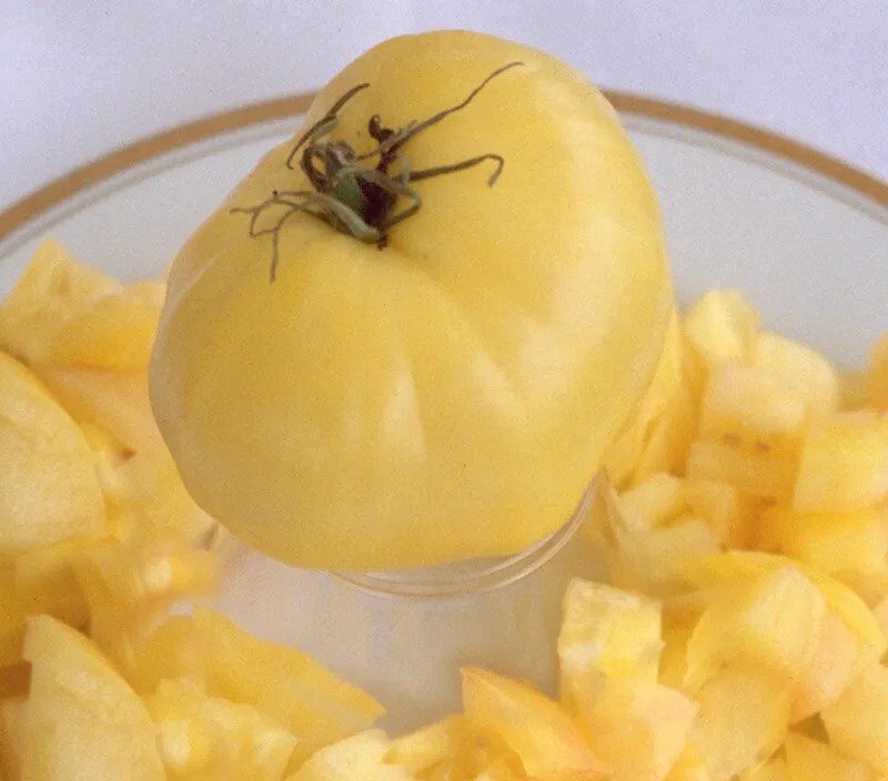 25 Seeds Blue Bell Peppers Vegetable Sweet Edible Food