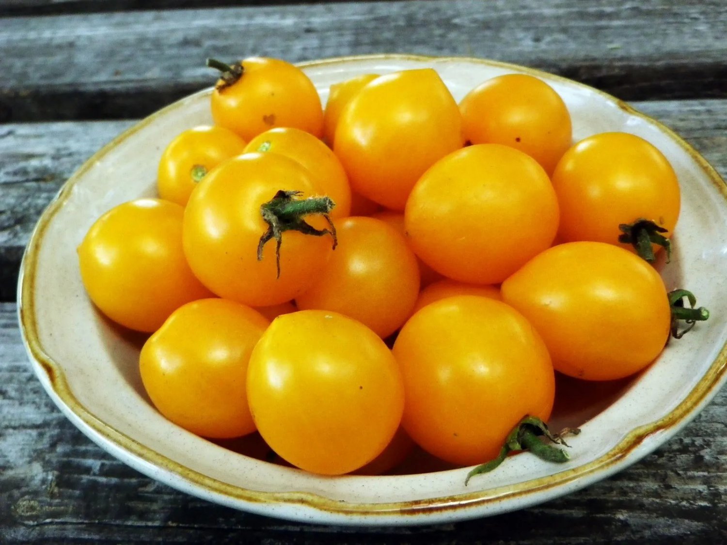 50 Seeds Jersey Boy Tomato Vegetable Tomatoe