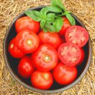 50 Seeds Early Doll Tomato Juicy Vegetable Tomatoe