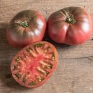 25 Seeds Poinsett 76 Cucumber Hybrid Vegetable Pickling