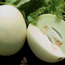 50 Seeds Clermon Tomato Juicy Vegetable Tomatoe