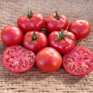 25 Seeds Calabrian Chili Peppers Vegetable Edible Food