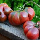 25 Seeds Bitter Melons Fruit Vegetable Food Health Food