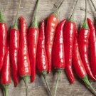 50 Seeds Jet Star Tomato Hybrid Vegetable Tomatoe Food
