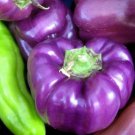 50 Seeds Cherokee Purple Tomato Vegetable Tomatoes