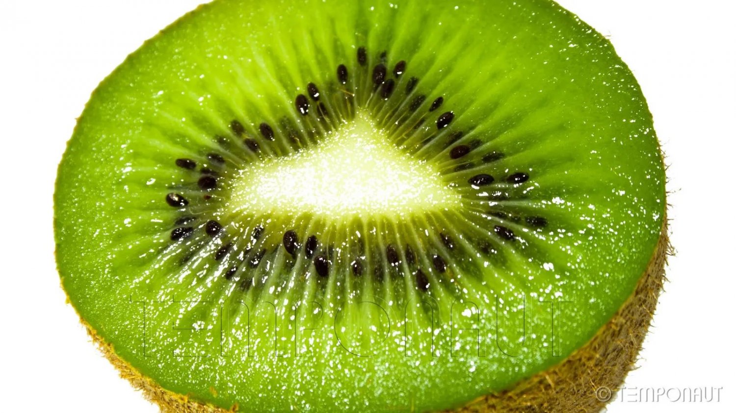 Kiwi Fruit (Actinida Chinensis Haywood) 30 Seeds