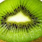 Kiwi Fruit (Actinida Chinensis Haywood) 30 Seeds