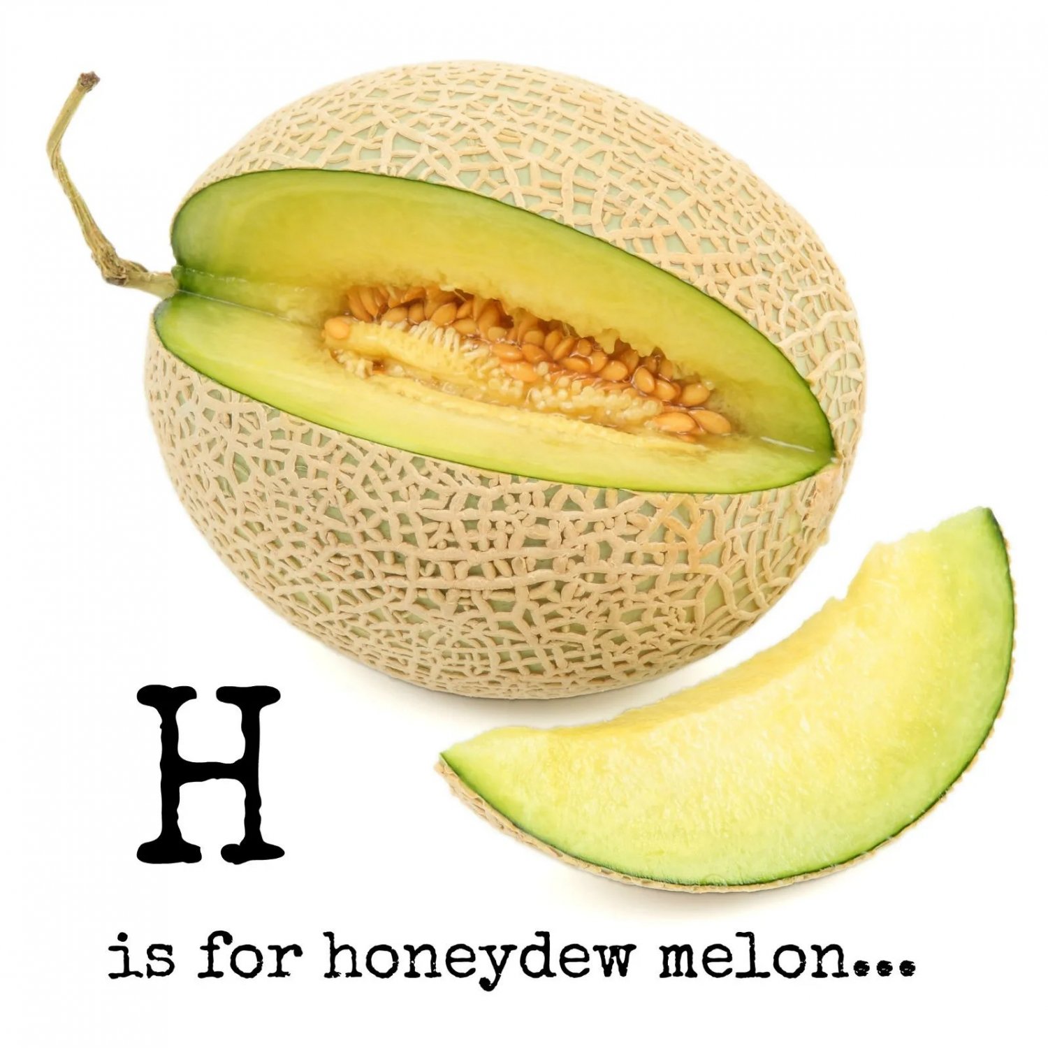 Honey Dew Melon 20 Fresh Seeds